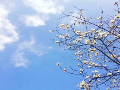 毛笔挠尿孔～啊快尿了,奇幻冒险，趣味挠尿挑战来袭-2